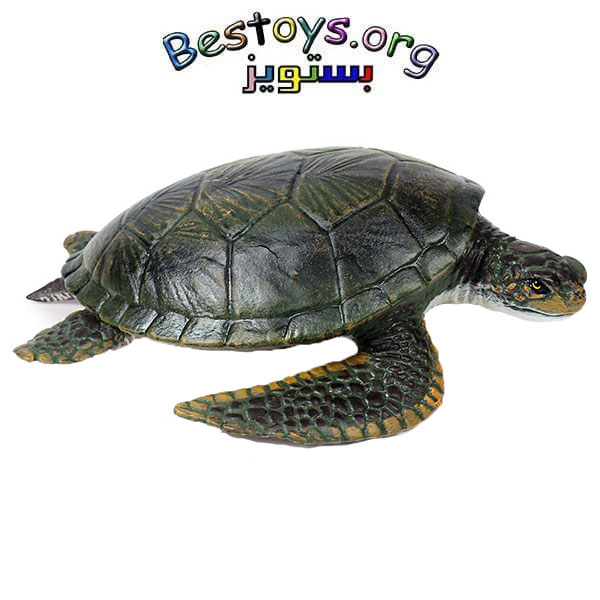 فیگور مدل لاکپشت